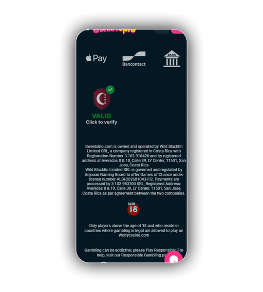 Sweetsino cashier screen showing card, wallet and crypto payment options.